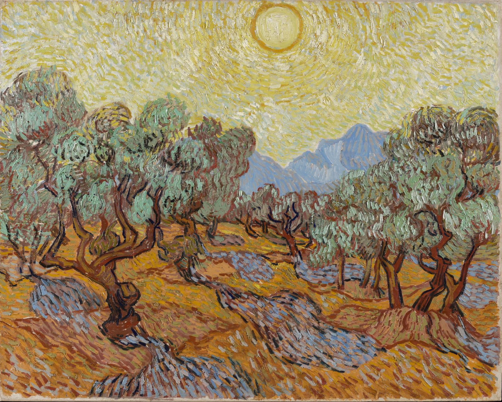 [Olive Trees with Yellow Sky and Sun image]